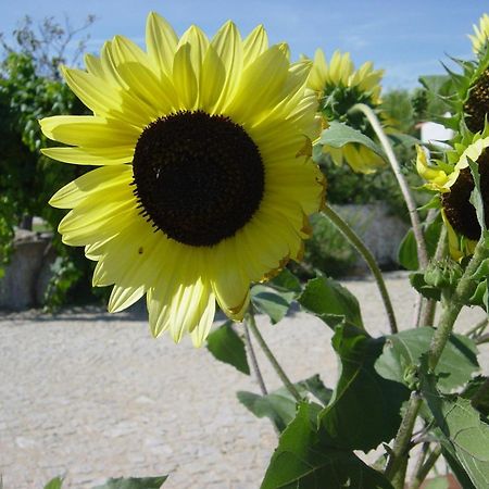 Quinta Da Abrunheira Διαμέρισμα Vimieiro  Εξωτερικό φωτογραφία