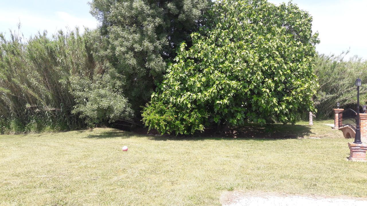 Quinta Da Abrunheira Διαμέρισμα Vimieiro  Εξωτερικό φωτογραφία